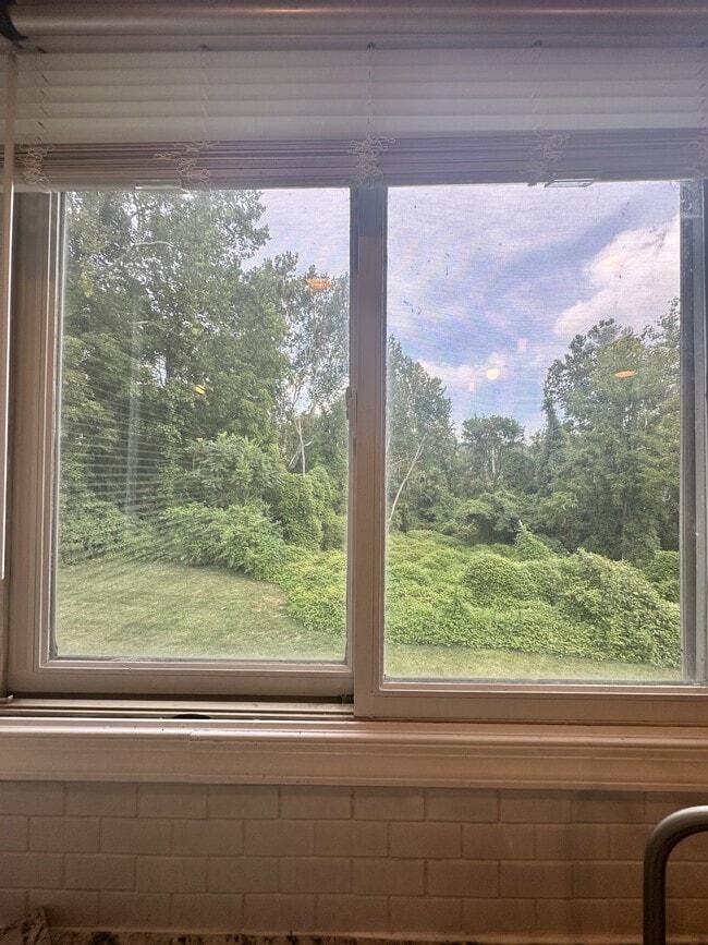 Photo - 101 Mary Ann Ct