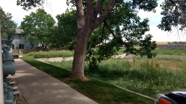 Photo - 1425 Bacchus Dr