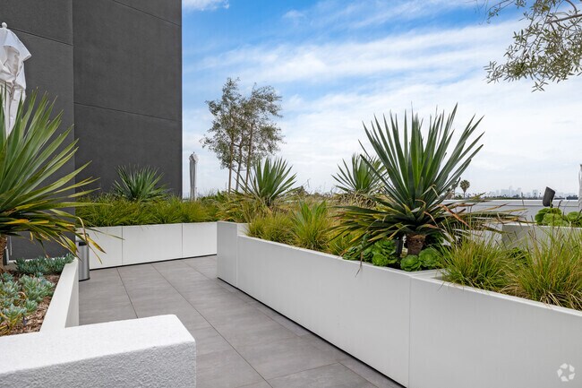 Outdoor Deck