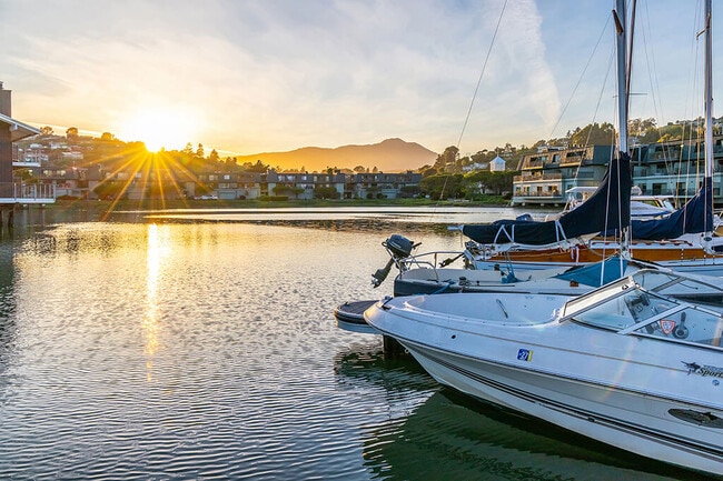Photo - The Cove at Tiburon