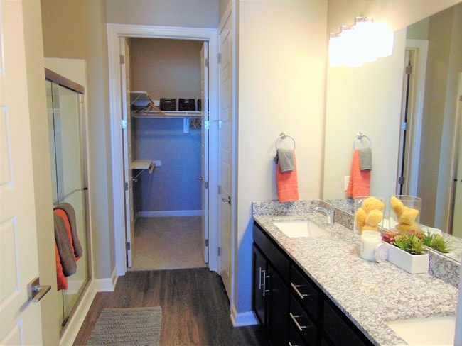 Double Vanity