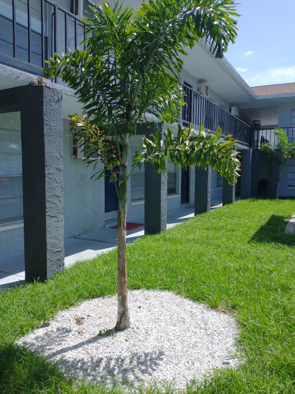 completo_IMG_20220421_112619805.png - Roma On Dale Mabry II