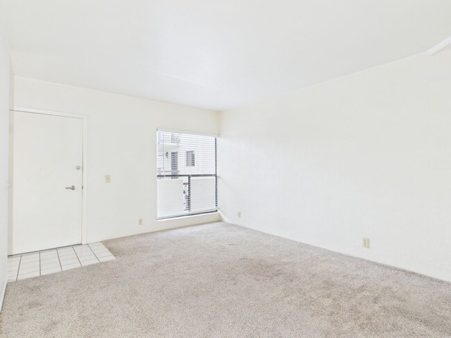 Photo - 1 bedroom Ocean Forest condo for rent