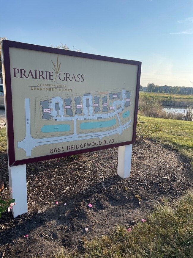 Prairie Grass at Jordan Creek