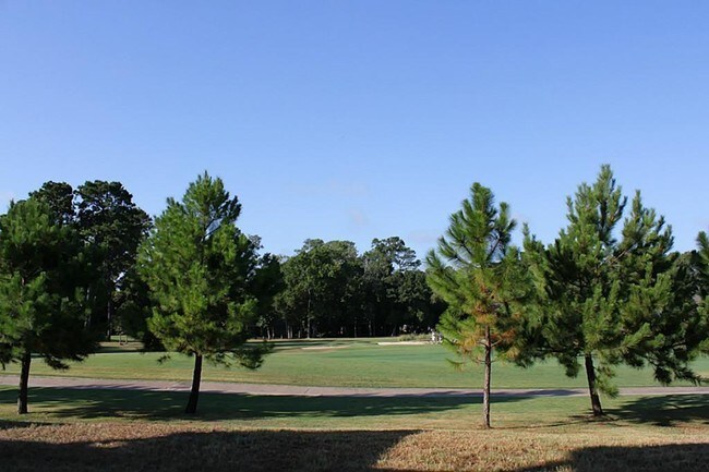 Vista trasera - 16020 Fountainview Dr