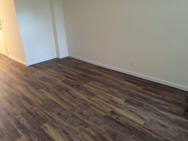 Luxury vinyl floors - 444 Bedford Street Unit Apt 5c