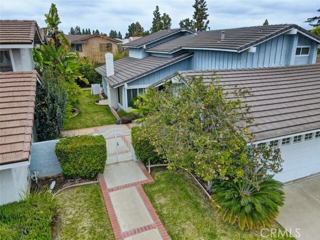 Photo - 8 Sparrowhawk