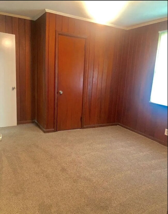 Photo - Merrily Drive in Powelldale