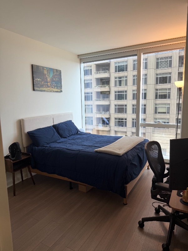 Building Photo - 500 N Lake Shore Dr Rental