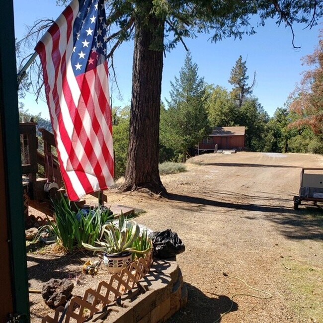 Cottage Style Home Nestled in the Trees!!!... Rental House Rental in