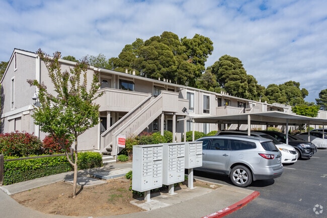 Primaria - Bay View Villas