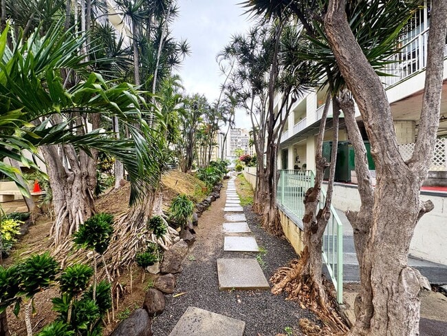 Photo - 249 Kapili St Unit 203