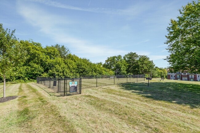 Pine Creek Apartments