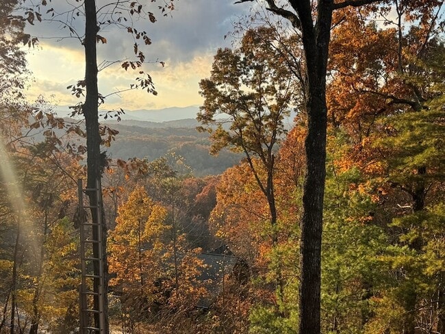 Photo - 664 Fox Run Dr