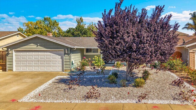 Photo - 36444 Peugeot Pl