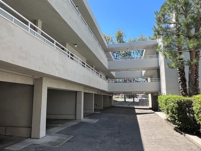 Encino Voltaire
