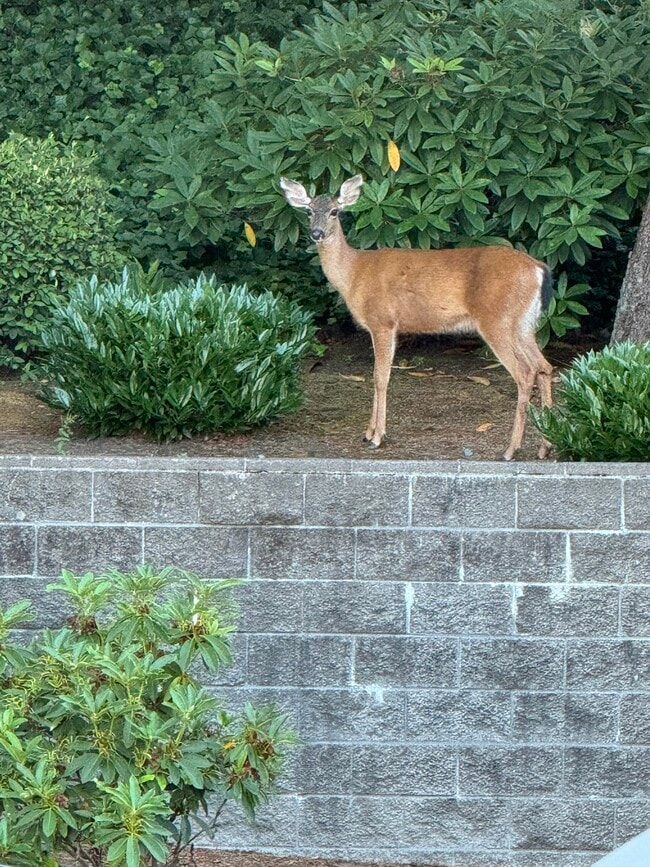 Wooded, park-like setting! - 151 N 8th St