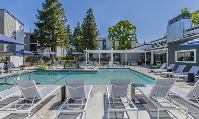 Avana Stoneridge