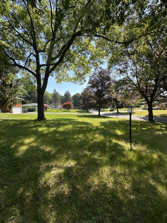 Photo - 9 Courtenay Cir