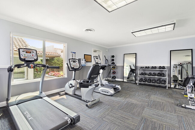 Photo - The Franciscan