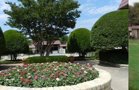 Landscaped Grounds - Tennyson Arms