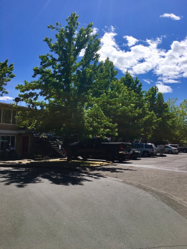 Photo - 1430-1460-1460 NW Division St Unidad 27