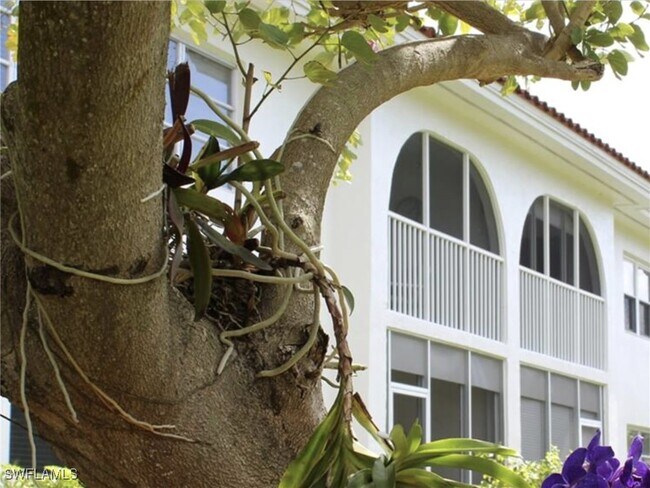 Photo - 1055 Forest Lakes Dr Unit D213