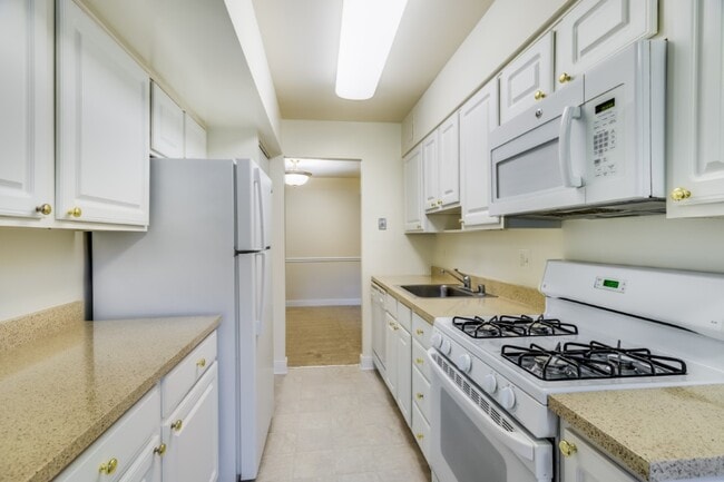 Photo - PeachTree of McLean Apartments