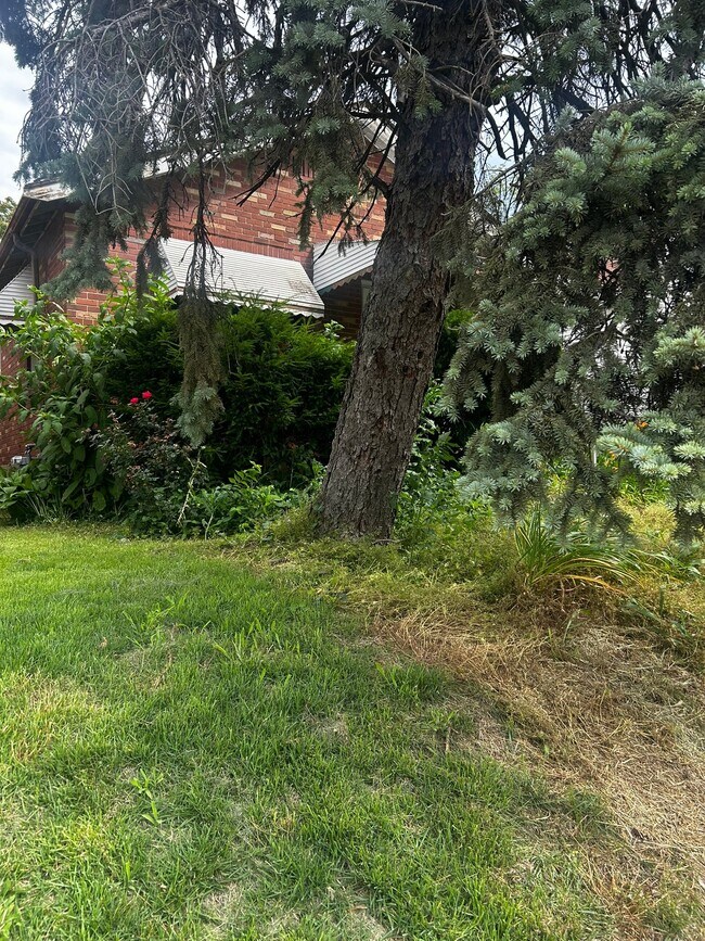 Photo - 4719 Plover Ave
