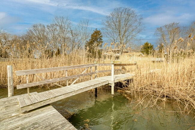 Photo - 146 Heady Creek Ln