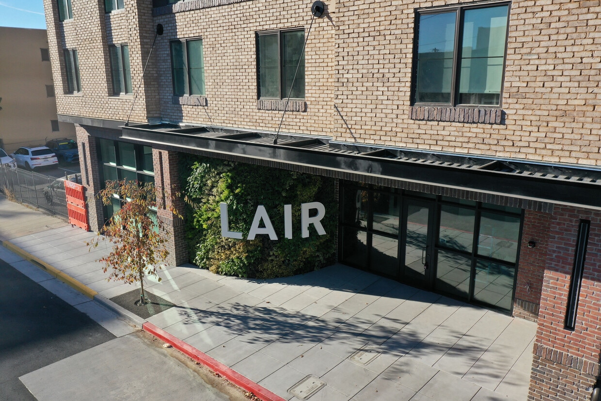 The Lair - The Lair