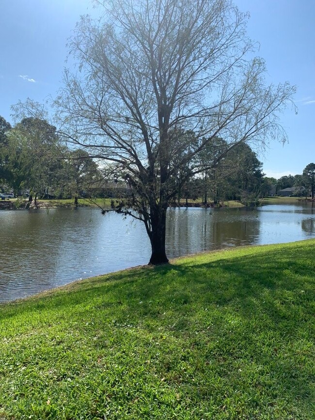 Photo - 3/2 Pool Home in Manderley Run