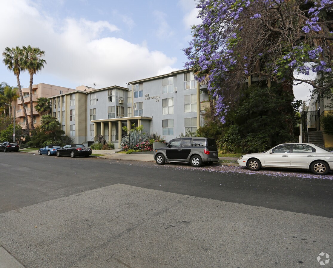 The Driftwood - The Driftwood