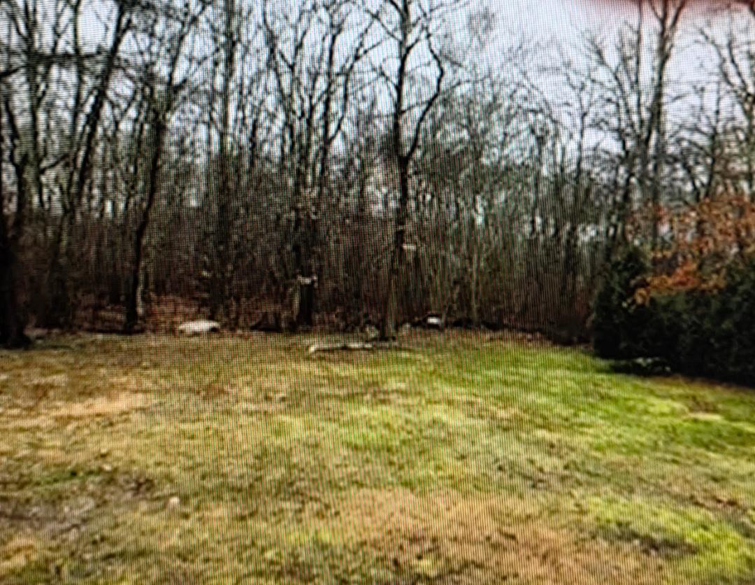 Photo - 328 Tickle Rd