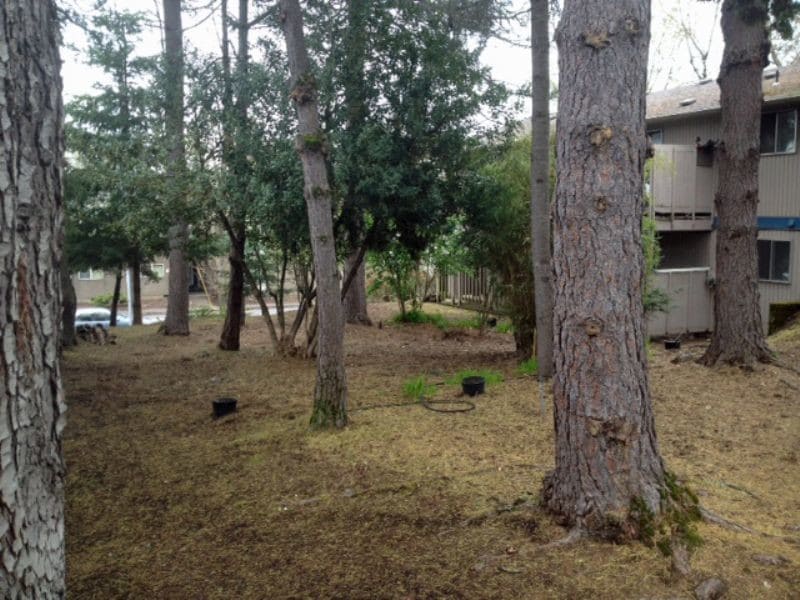 Photo - West Springfield/Kelly Butte 1 bedroom apa...