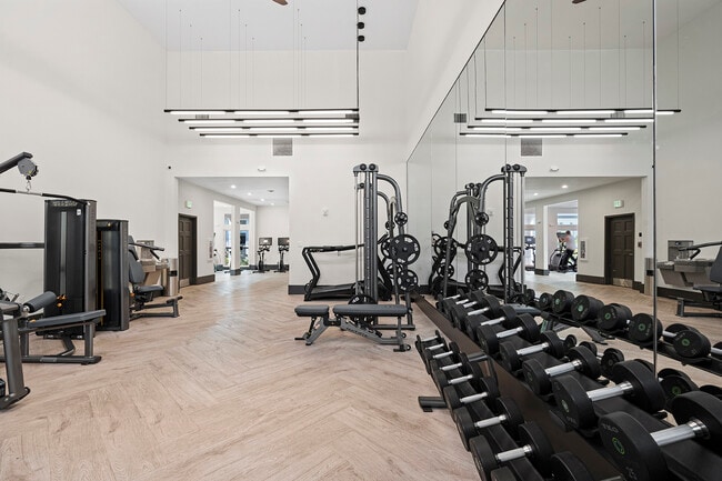 Photo - Cortland at the Hammocks