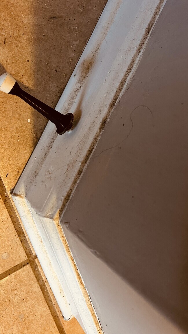 Photo - 116 Clearview Ct