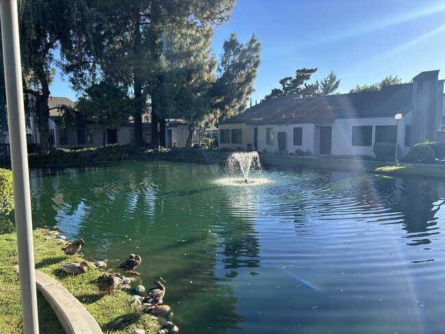 Photo - 1313 Floyd Ave