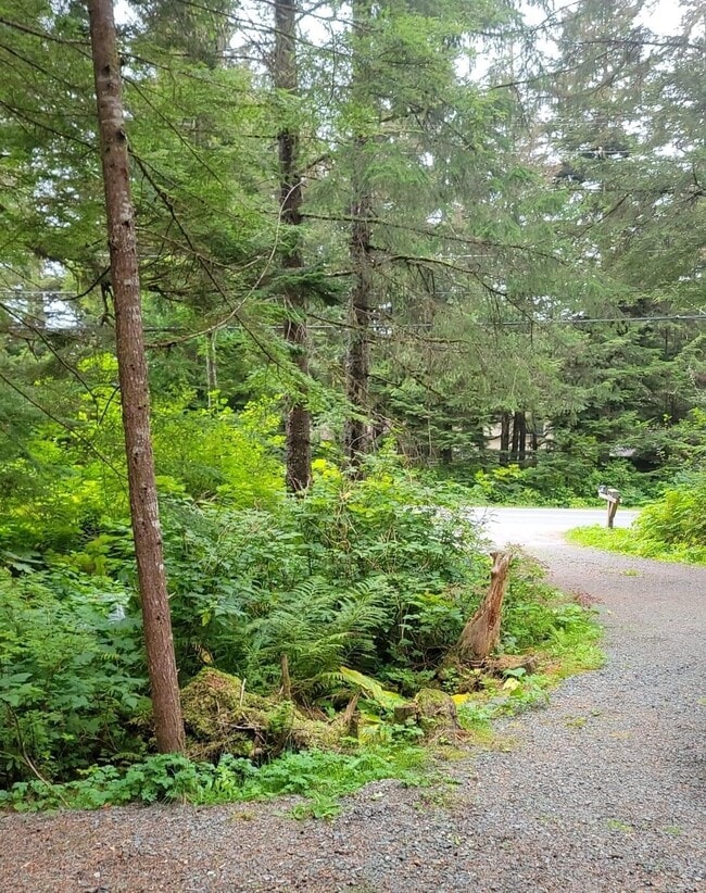 Photo - 1897 Fritz Cove Rd