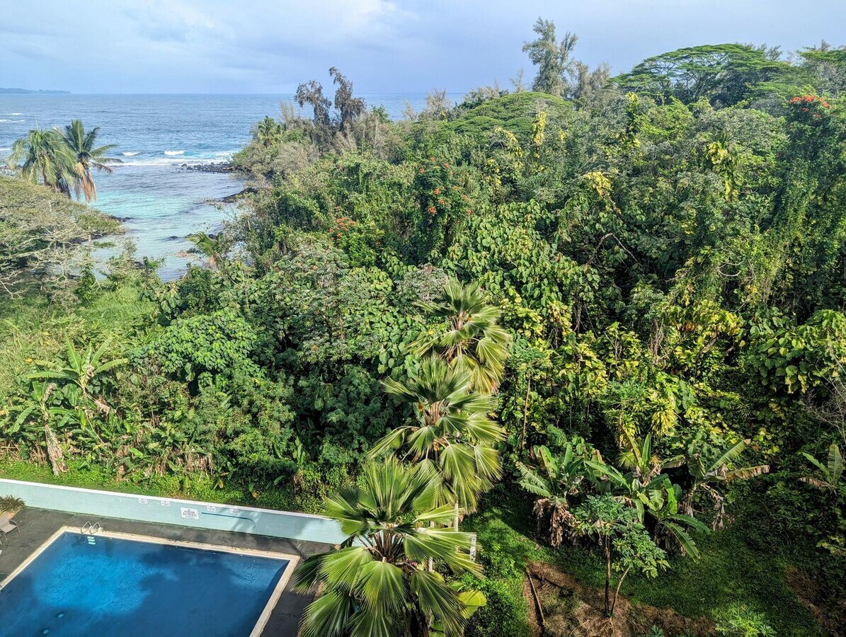 2BR/1BA Penthouse with ocean view - 2BR/1BA Penthouse with ocean view