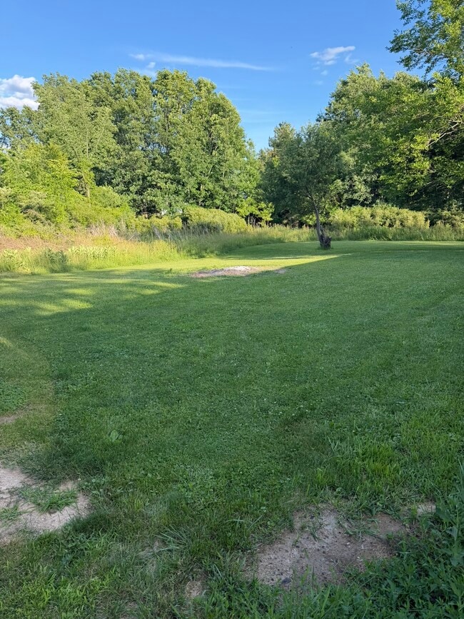Photo - 6916 Billwood Hwy