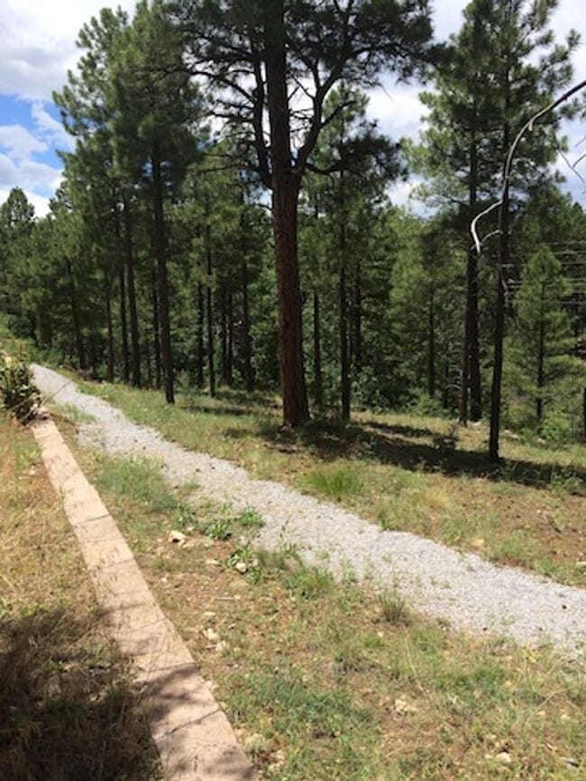 Photo - Sweet free standing home in Rio Home abutting forest and trail access