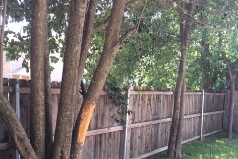 Back yard - 113 W 13th Ave Unit A