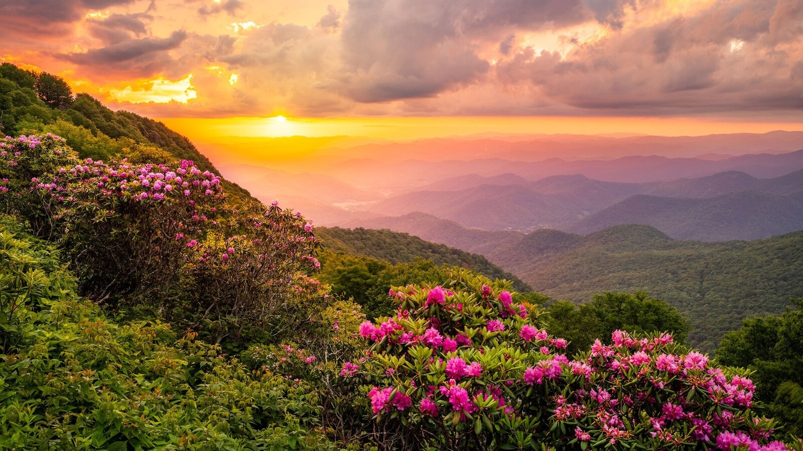 Photo - 180 Rue Fontaine