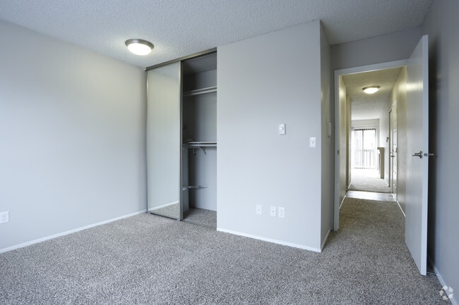 Photo - Constellation