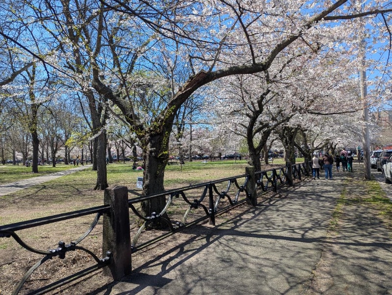 Photo - 278 St John St Unit 2.4