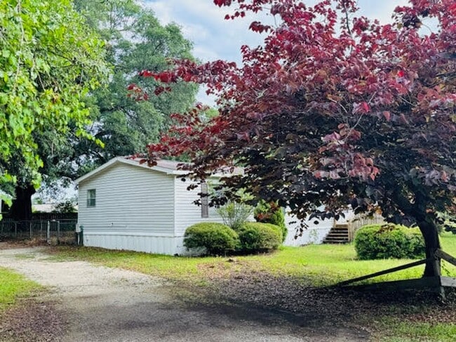 Photo - Old Maco Road