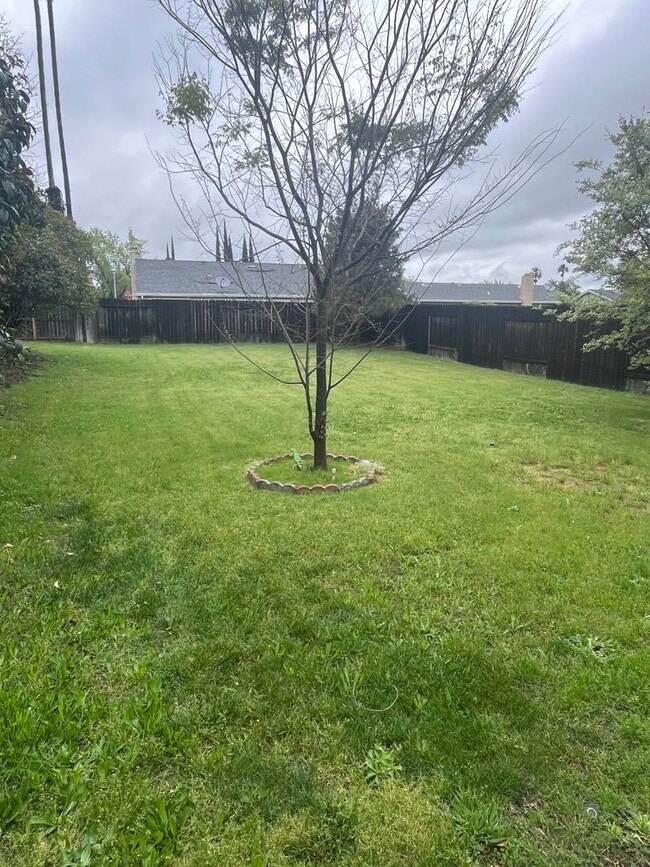 BEAUTIFUL UPDATED DUPLEX IN CITRUS HEIGHTS!! Rental House Rental in