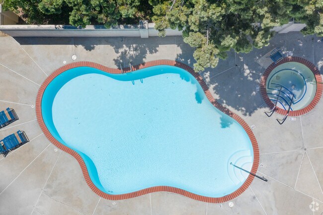 Lower Pool and Spa
