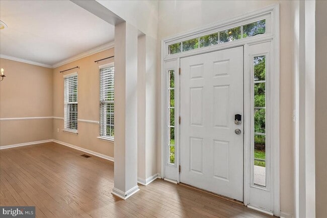 Photo - 905 Royal Elm Ct